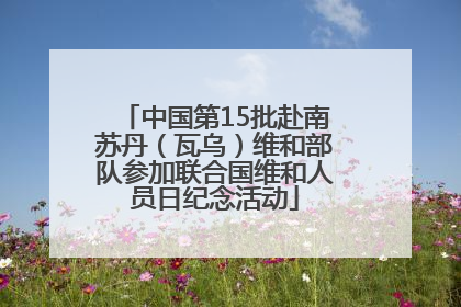 中国第15批赴南苏丹（瓦乌）维和部队参加联合国维和人员日纪念活动